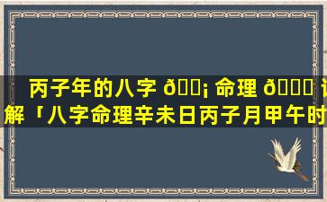 丙子年的八字 🐡 命理 🐈 详解「八字命理辛未日丙子月甲午时」